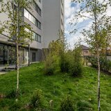 Prelungirea Ghencea, etaj 4/8, Imobil 2024, Comision 0 %